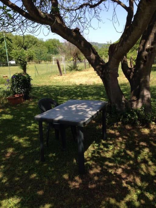 Chalet La Sequoia Orte Luaran gambar