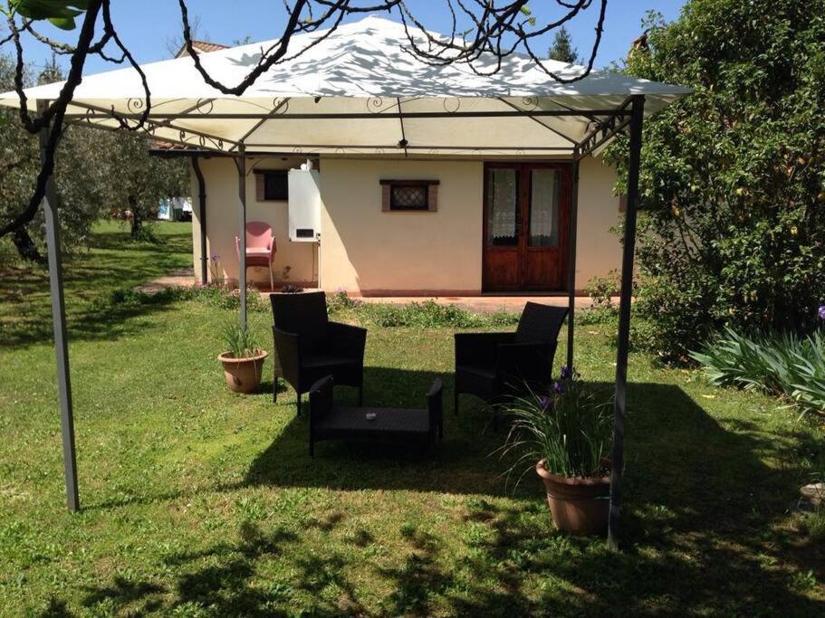 Chalet La Sequoia Orte Luaran gambar
