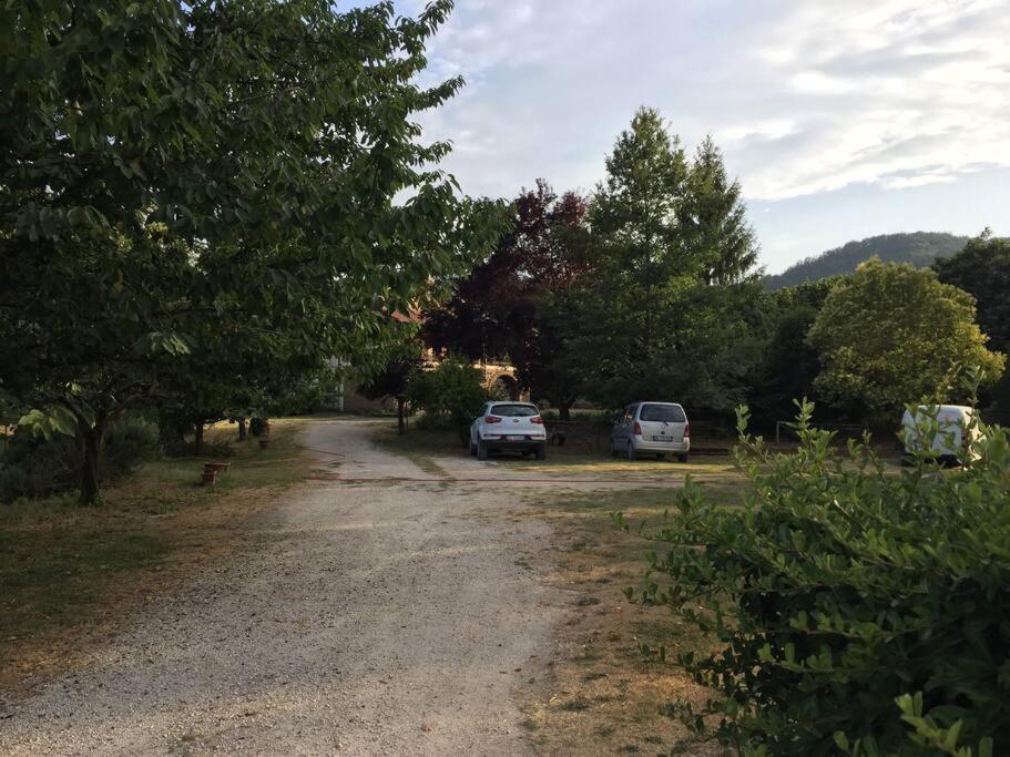 Chalet La Sequoia Orte Luaran gambar